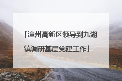 漳州高新区领导到九湖镇调研基层党建工作