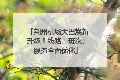 荆州机场大巴焕新升级！线路、班次、服务全面优化