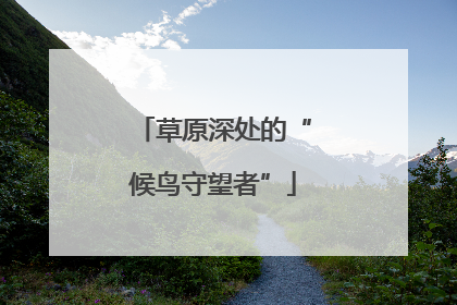 草原深处的“候鸟守望者”