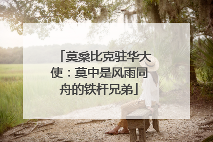 莫桑比克驻华大使：莫中是风雨同舟的铁杆兄弟