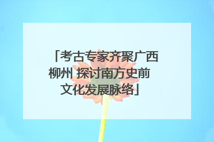 考古专家齐聚广西柳州 探讨南方史前文化发展脉络