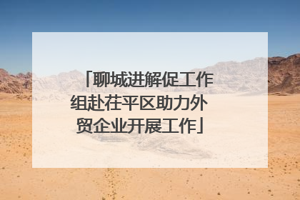 聊城进解促工作组赴茌平区助力外贸企业开展工作