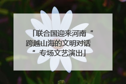 联合国迎来河南“跨越山海的文明对话”专场文艺演出