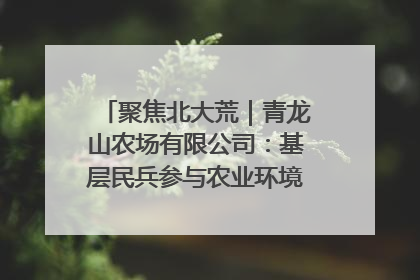 聚焦北大荒｜青龙山农场有限公司：基层民兵参与农业环境综合治理显效