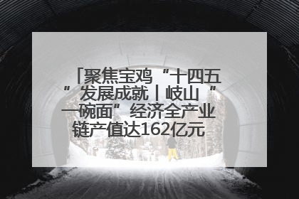聚焦宝鸡“十四五”发展成就丨岐山“一碗面”经济全产业链产值达162亿元 入选全国典型县
