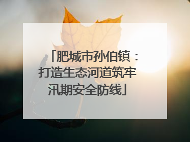 肥城市孙伯镇：打造生态河道筑牢汛期安全防线