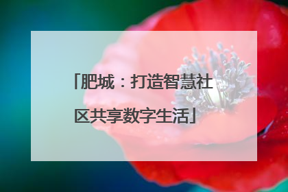 肥城：打造智慧社区共享数字生活