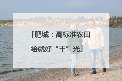 肥城：高标准农田绘就好“丰”光