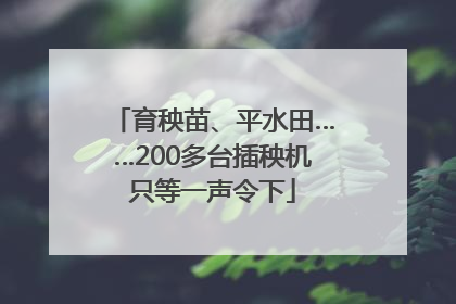 育秧苗、平水田……200多台插秧机只等一声令下