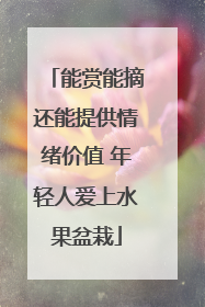 能赏能摘还能提供情绪价值 年轻人爱上水果盆栽