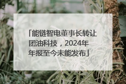 能链智电董事长转让团油科技，2024年年报至今未能发布