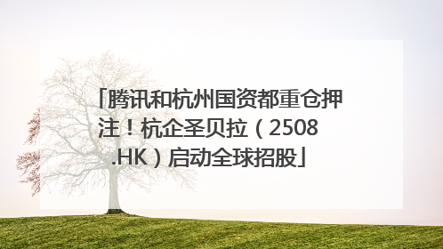 腾讯和杭州国资都重仓押注！杭企圣贝拉（2508.HK）启动全球招股