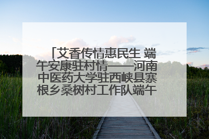 艾香传情惠民生 端午安康驻村情——河南中医药大学驻西峡县寨根乡桑树村工作队端午中医惠民记