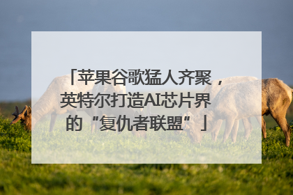 苹果谷歌猛人齐聚，英特尔打造AI芯片界的“复仇者联盟”