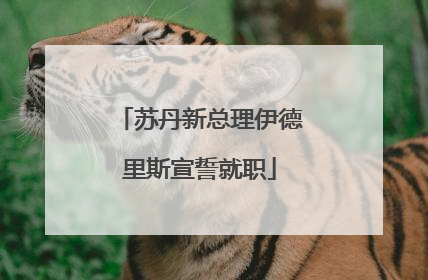 苏丹新总理伊德里斯宣誓就职