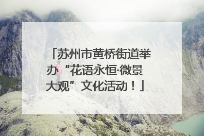 苏州市黄桥街道举办“花语永恒·微景大观”文化活动！