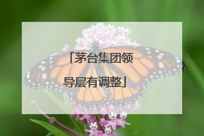 茅台集团领导层有调整
