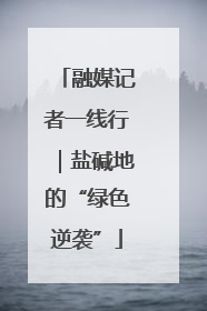 融媒记者一线行｜盐碱地的“绿色逆袭”