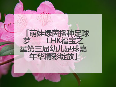 萌娃绿茵播种足球梦——LHK福宝之星第三届幼儿足球嘉年华精彩绽放