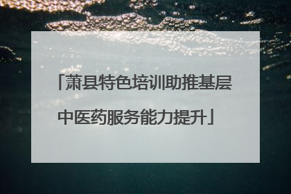 萧县特色培训助推基层中医药服务能力提升