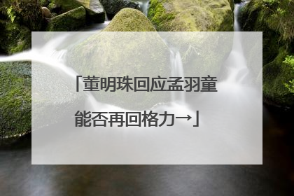 董明珠回应孟羽童能否再回格力→