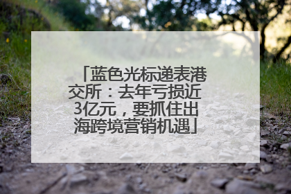 蓝色光标递表港交所：去年亏损近3亿元，要抓住出海跨境营销机遇