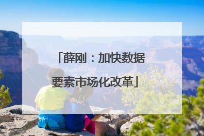 薛刚：加快数据要素市场化改革