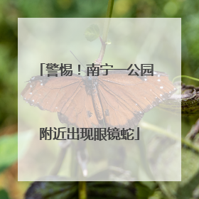 警惕！南宁一公园附近出现眼镜蛇