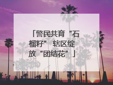 警民共育“石榴籽” 辖区绽放“团结花”