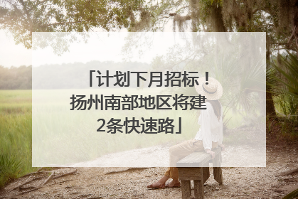 计划下月招标！扬州南部地区将建2条快速路