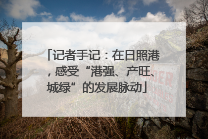 记者手记：在日照港，感受“港强、产旺、城绿”的发展脉动