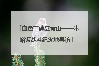血色丰碑立青山——米峪镇战斗纪念地寻访