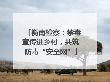 衡南检察：禁毒宣传进乡村，共筑防毒“安全网”