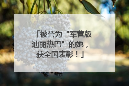 被誉为“军营版迪丽热巴”的她，获全国表彰！