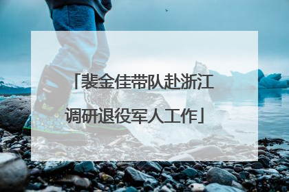 裴金佳带队赴浙江调研退役军人工作
