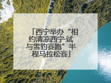 西宁举办“相约清凉西宁·试与雪豹赛跑”半程马拉松赛