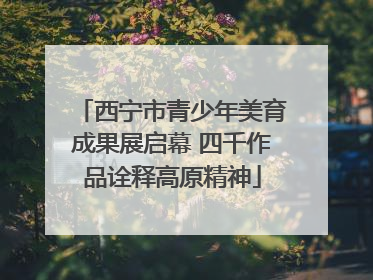西宁市青少年美育成果展启幕 四千作品诠释高原精神