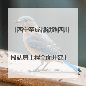 西宁至成都铁路四川段站房工程全面开建