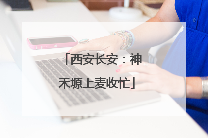 西安长安：神禾塬上麦收忙