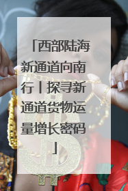 西部陆海新通道向南行丨探寻新通道货物运量增长密码