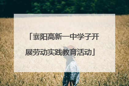襄阳高新一中学子开展劳动实践教育活动