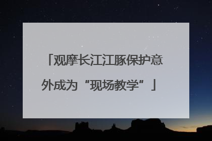 观摩长江江豚保护意外成为“现场教学”
