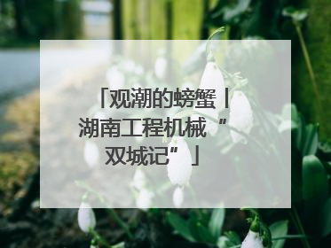 观潮的螃蟹丨湖南工程机械“双城记”