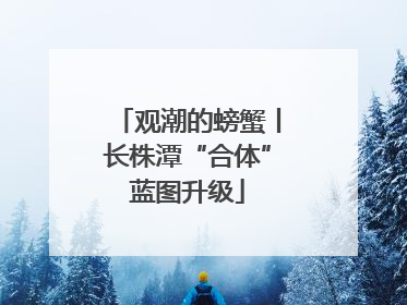 观潮的螃蟹丨长株潭“合体”蓝图升级