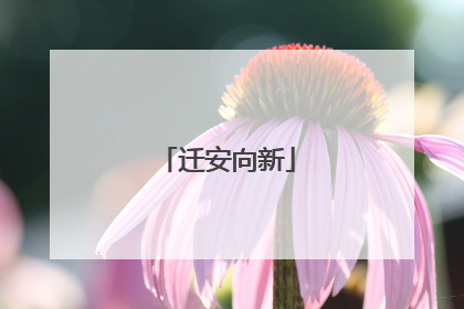 迁安向新
