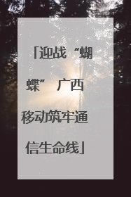 迎战“蝴蝶” 广西移动筑牢通信生命线