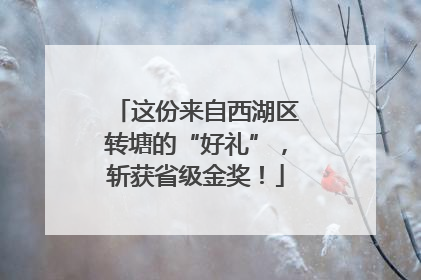 这份来自西湖区转塘的“好礼”，斩获省级金奖！
