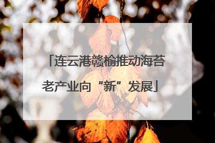 连云港赣榆推动海苔老产业向“新”发展
