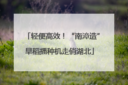 轻便高效！“南漳造”旱稻播种机走俏湖北