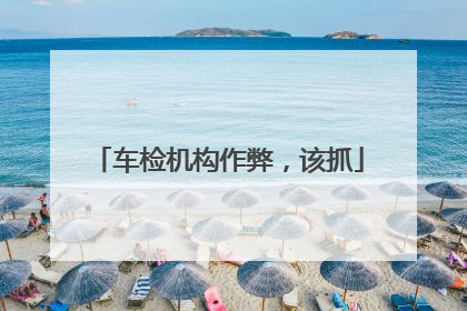 车检机构作弊，该抓
